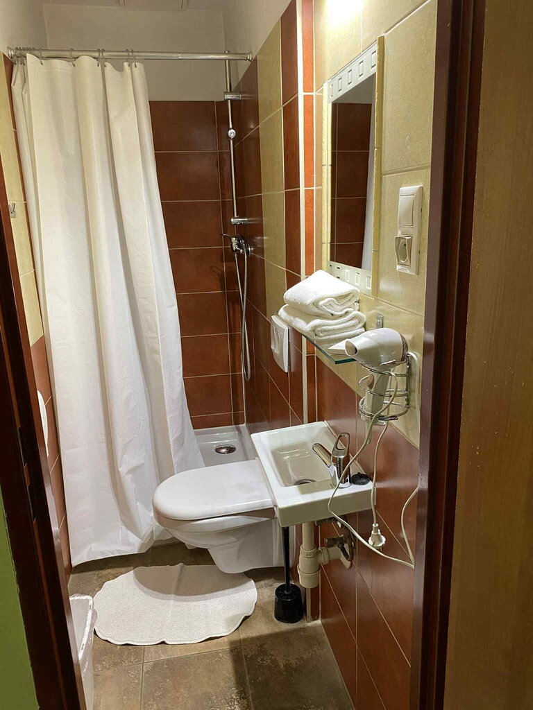 Compact bathroom with shower, sink, toilet, mirror and hair dryer.